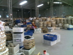 庫(kù)存日用百貨的管理與優(yōu)化——以蔡秀敏的日用百貨店為例